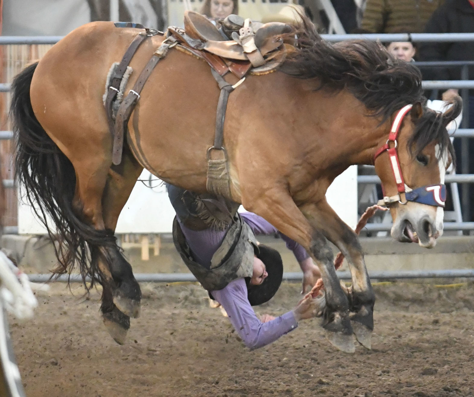 053019 Rodeo Thursday 25.jpg